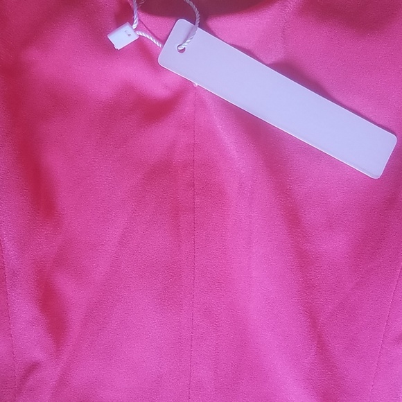 Pink Peplum Dress - Picture 11 of 11